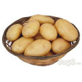 Wholesale bulk potato specifications potato starch specification